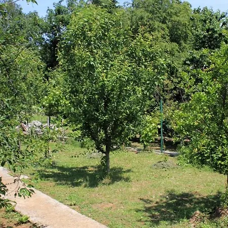 Apartment Opric 7716b