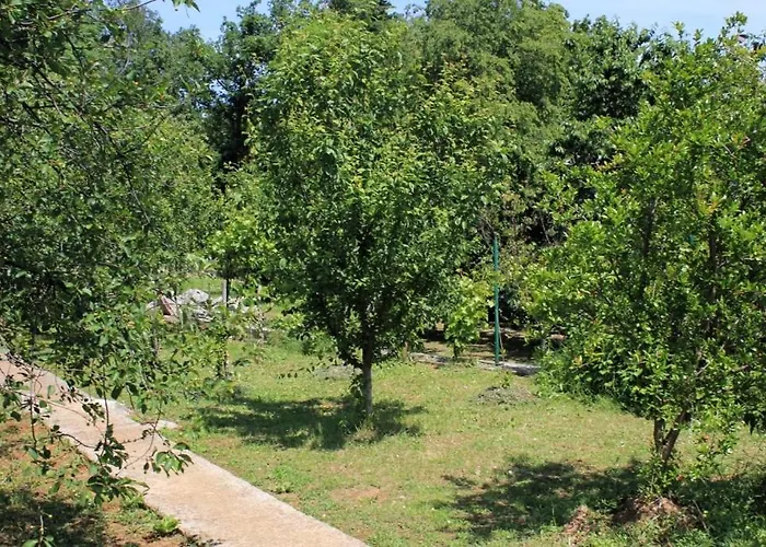 Apartman Opric 7716b