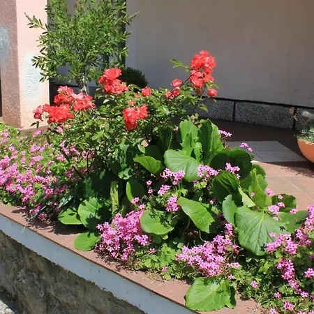 Opric 7716b Apartament