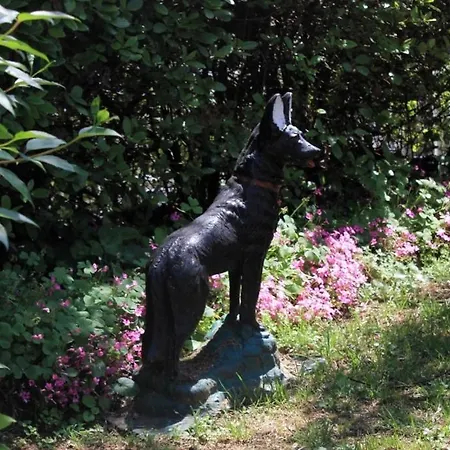 Opric 7716b Apartament *