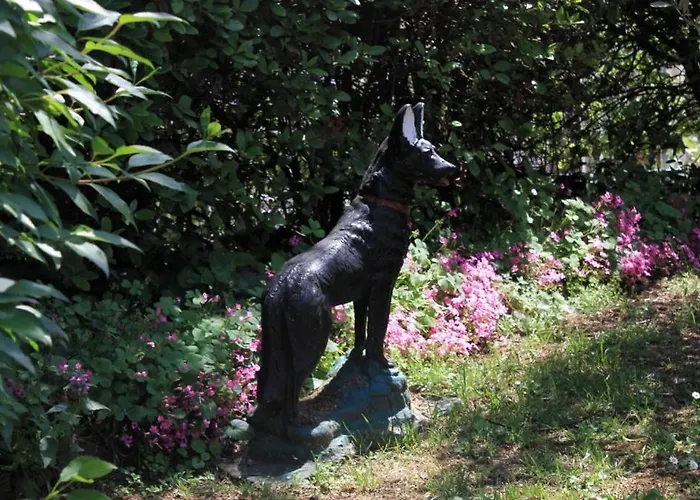 Opric 7716b Апартаменты *